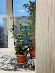 Фотография Pro жизнь 0